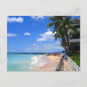 Waikiki Beach, Oahu, Hawaii Postcard