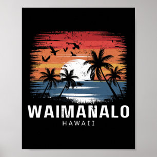 Waimanalo Beach Hawaii Surfing Surfer  Poster