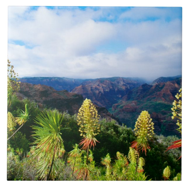 Waimea Canyon | Kauai, Hawaii Ceramic Tile (Front)