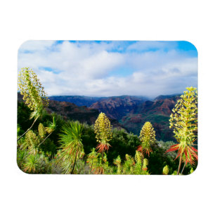 Waimea Canyon   Kauai, Hawaii Magnet