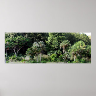 Waimea Falls Park Poster