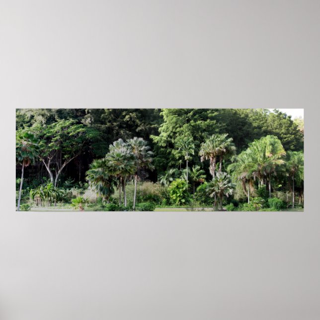 Waimea Falls Park Poster (Front)