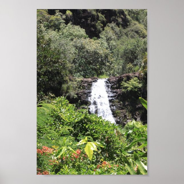 Waimea Falls Poster (Front)