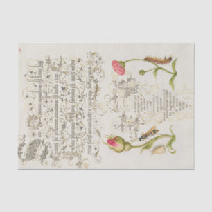 Wainscot Script with Flowers and Insects Tissue Paper