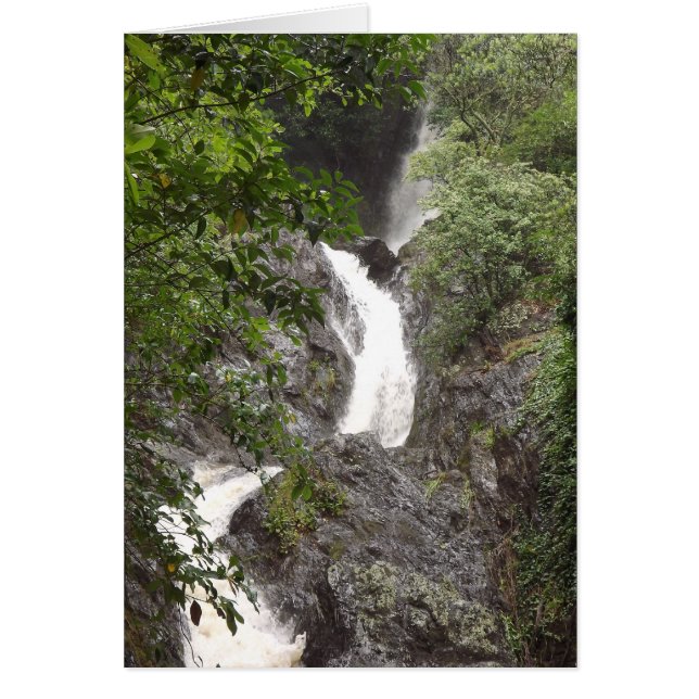 Wairere Falls, Whakatane (Front)