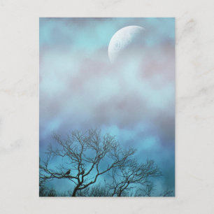 Wait for Morning Postcard