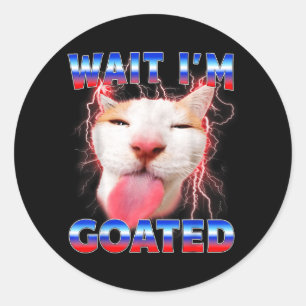 Wait Goated Cat Funny Cat Lovers Staring Cat Funny Classic Round Sticker