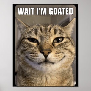 Wait Goated Cat Funny Silly Staring Cat Funny Meme Poster