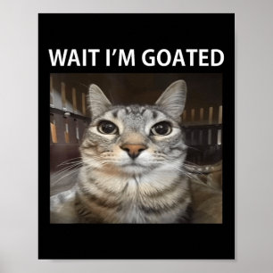 Wait Im Goated Silly Cat Meme  Poster