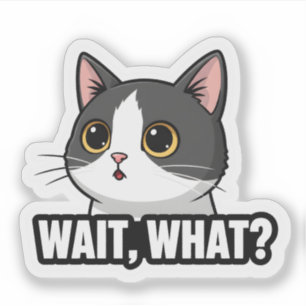 Wait, What? Meme Cat   Funny Cat Reaction 
