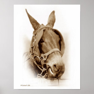 Waitin' To Work Poster