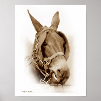 Waitin' To Work Poster