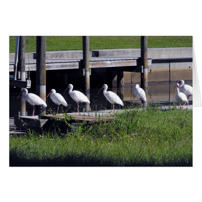 waiting... (Front Horizontal)