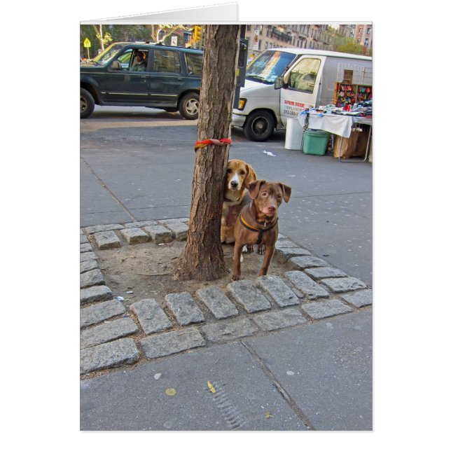 Waiting ...  5x7 (Front)