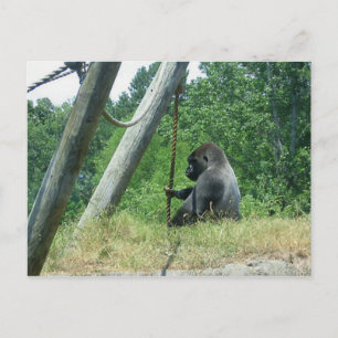 "Waiting and Wondering" Postcard
