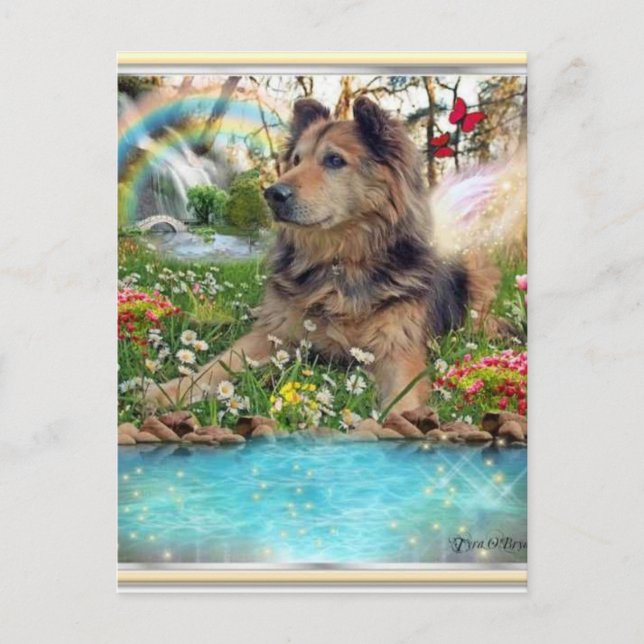 Waiting At Rainbow Bridge Postcard (Front)