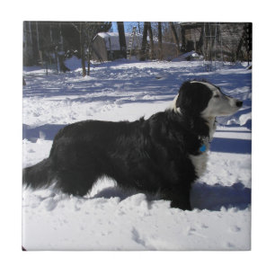 Waiting Ceramic Tile