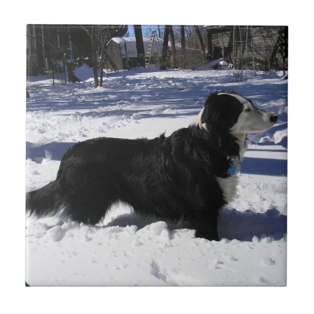 Waiting Ceramic Tile (Front)