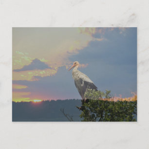 Waiting for autumn postcard