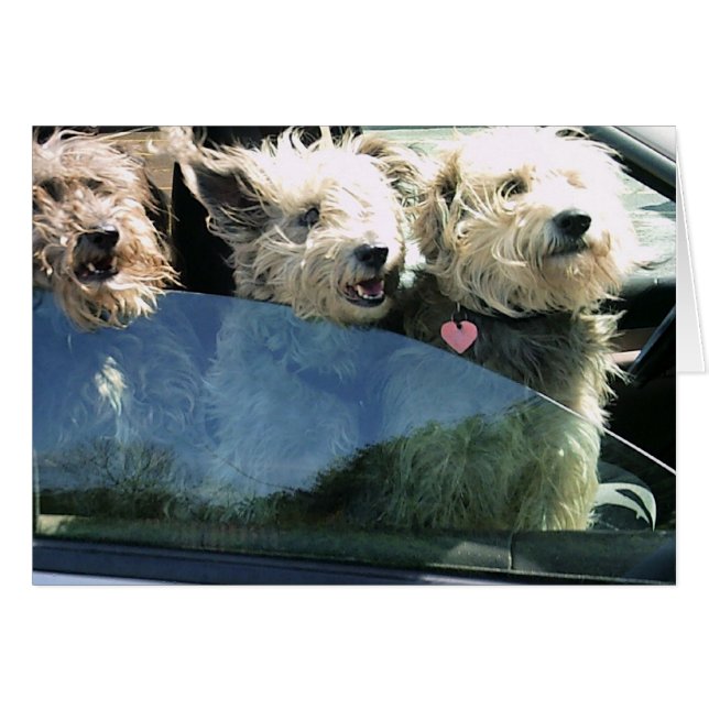 Waiting for Chinese Food (Front Horizontal)