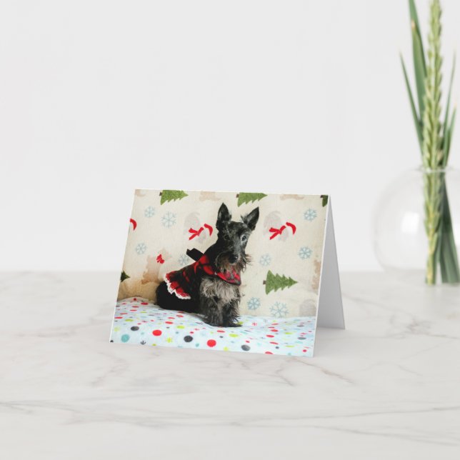 Waiting for Christmas Card (Front)