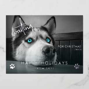 Waiting for Christmas Treats Custom Dog Photo  Foil Holiday Postcard