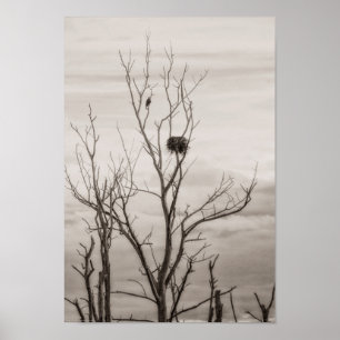 Waiting for Life Poster