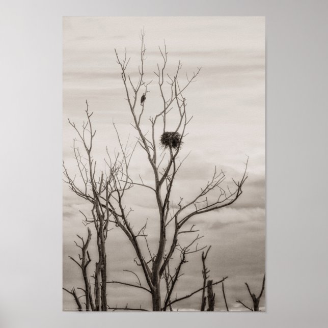 Waiting for Life Poster (Front)