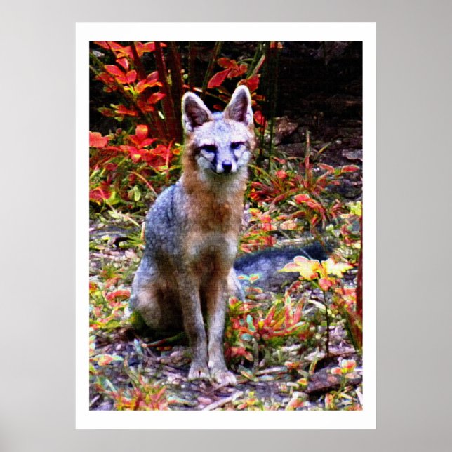 WAITING FOR SANDRA POSTER (Front)