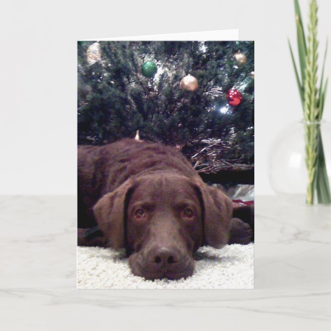 Waiting for Santa Holiday Card (Front)