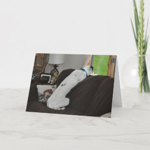 Waiting for Santa Holiday Card