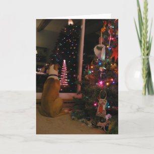 Waiting For Santa Holiday Card