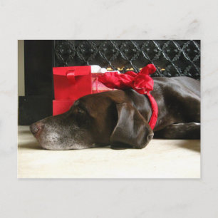 waiting for santa holiday postcard