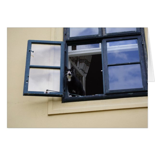 Waiting For Someone (Front Horizontal)