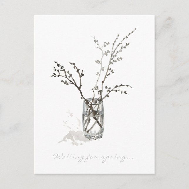 Waiting for Spring – Monochrome Budding Branches Postcard (Front)