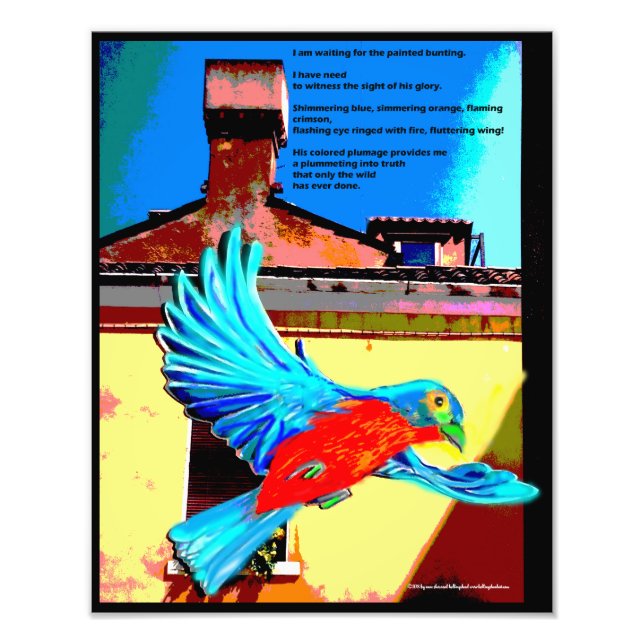 Waiting for the painted bunting photo print (Front)
