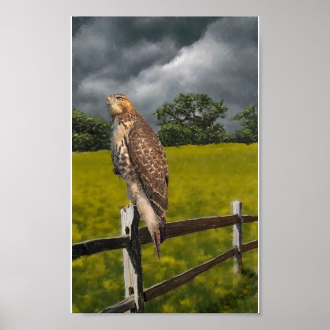 Waiting for the Storm - Red tail Hawk Poster (Front)