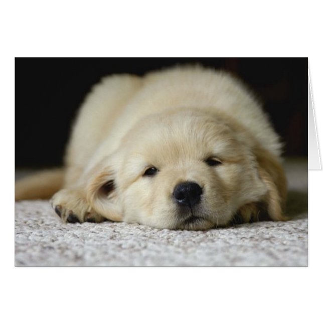 Waiting for you (Front Horizontal)