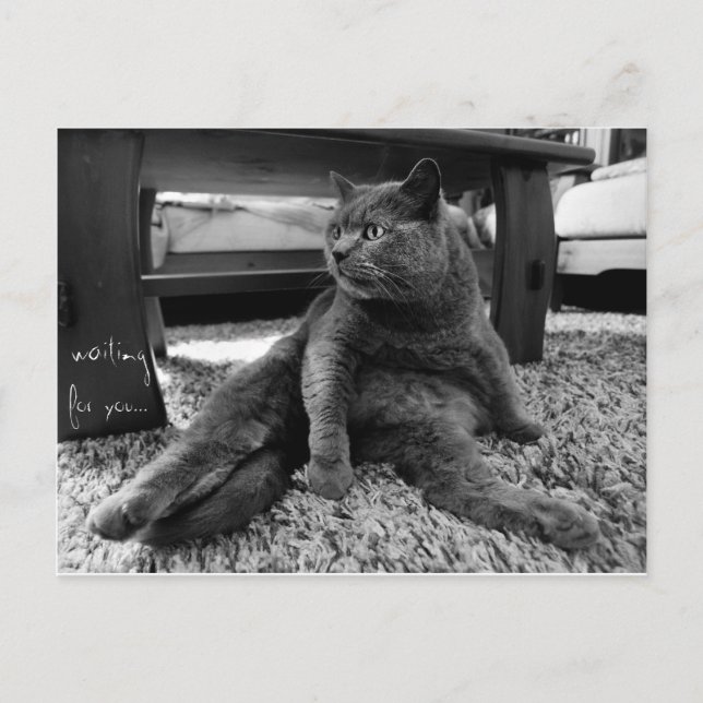 Waiting for you - Postcard (Front)