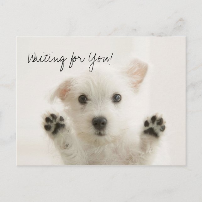 Waiting for You Postcard (Front)