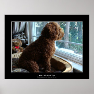 "Waiting For You" Poster