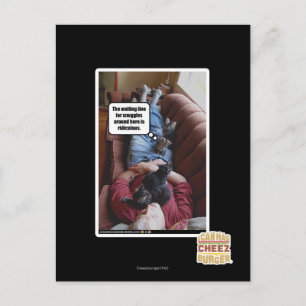 Waiting line for snuggles postcard