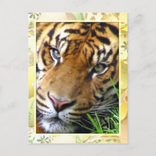 Waiting on you/Missing you_ Postcard