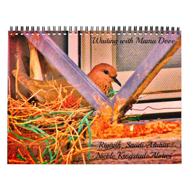 Waiting with Mama Dove Calendar (Cover)