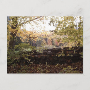 Waitsfield VT Stone Wall Oct 2010 Postcard