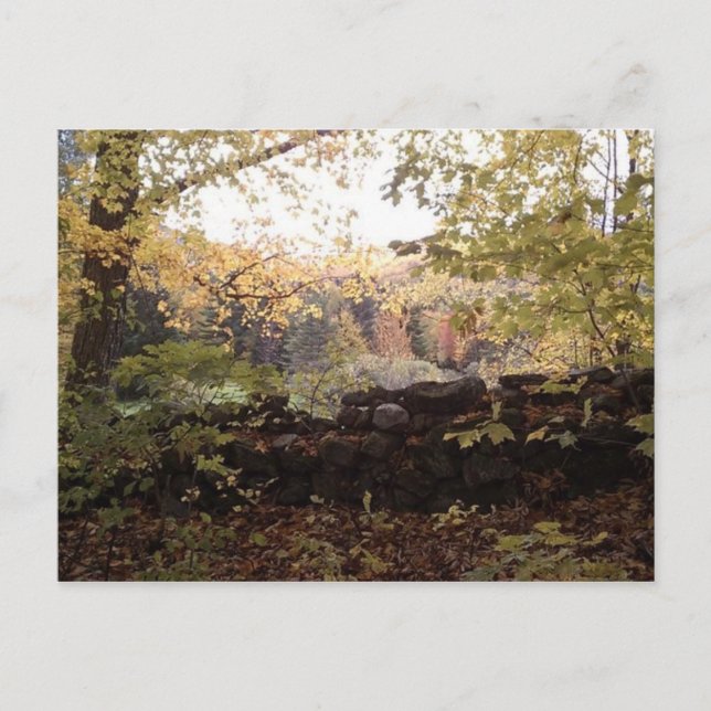 Waitsfield VT Stone Wall Oct 2010 Postcard (Front)