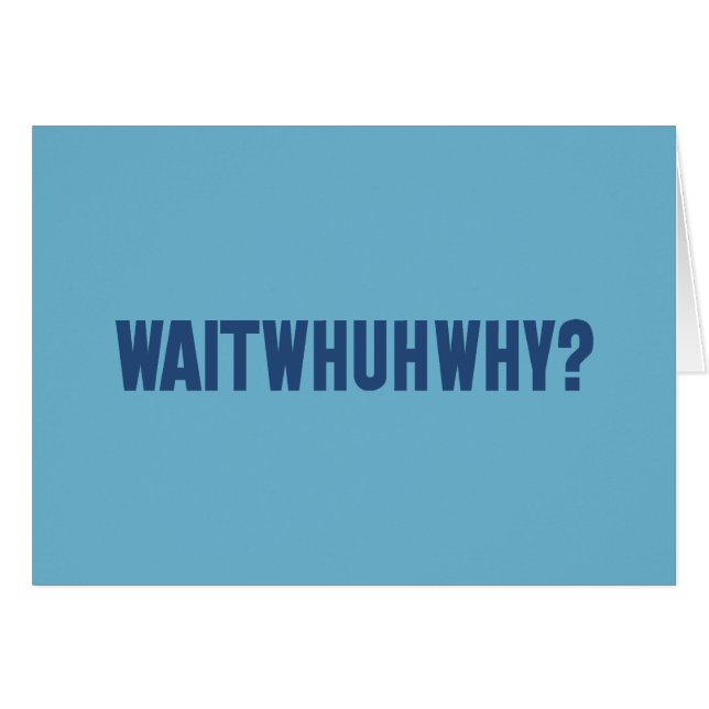 waitwhuhwhy (Front Horizontal)