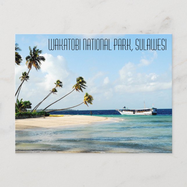 Wakatobi National Park, Sulawesi Postcard (Front)