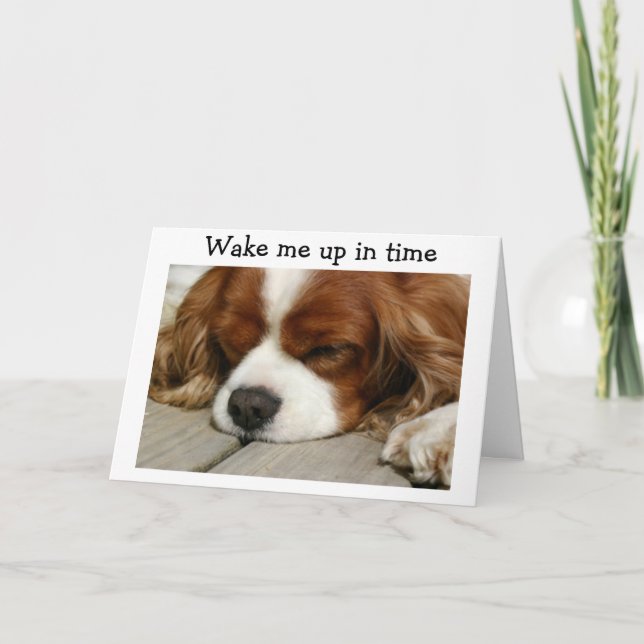 "WAKE ME UP IN TIME" SAY SPANIEL BIRTHDAY GREETING CARD (Front)