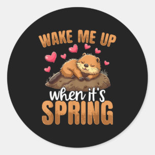 Wake Me Up When It’s Spring Funny Groundhog Day Classic Round Sticker